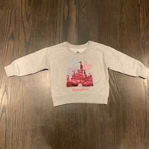 Disney land sweatshirt